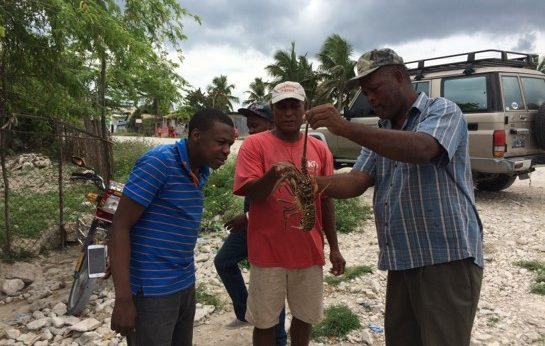 Fond Des Blancs Haiti - Vox Evolution