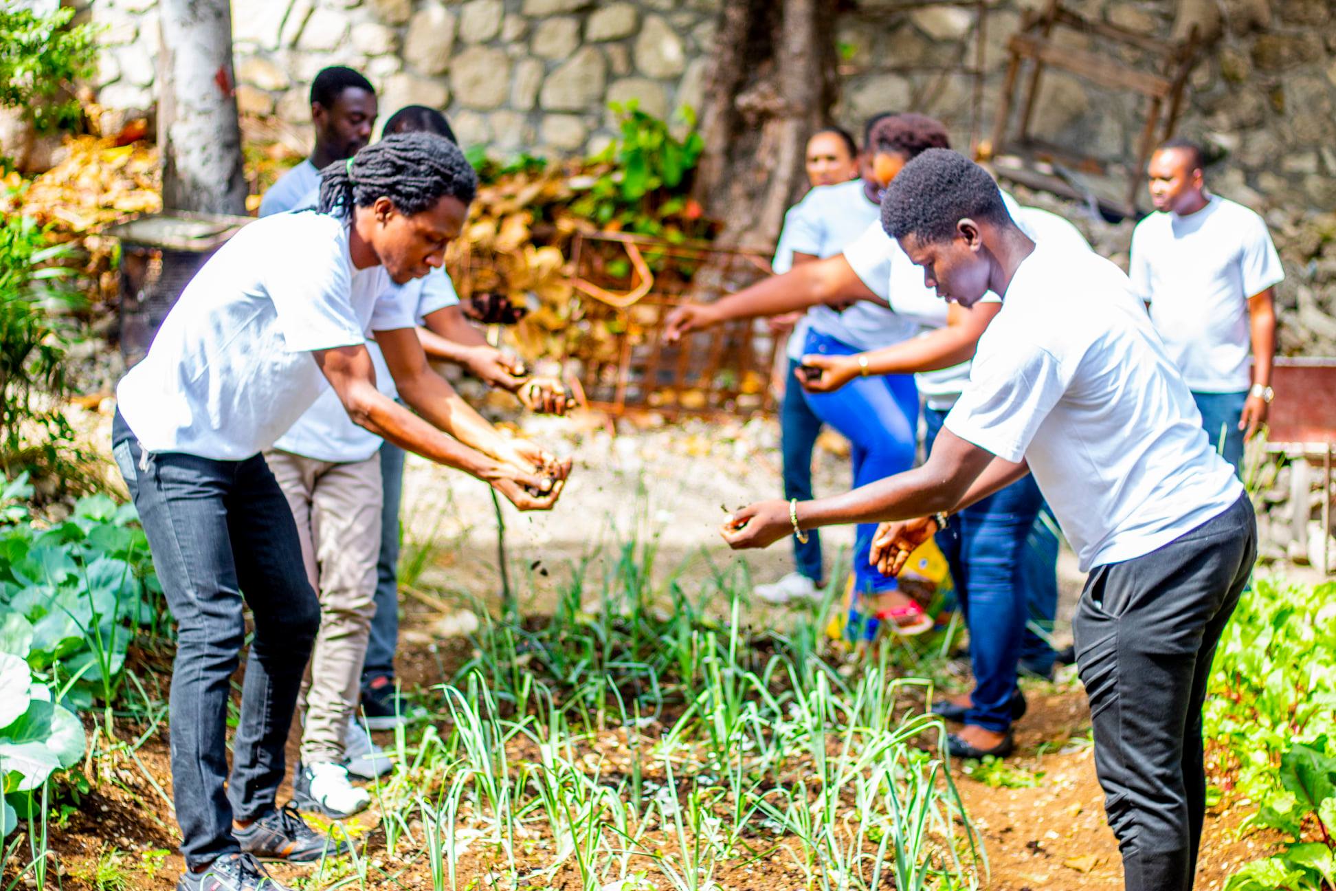 Vox Evolution - Equipe au Travail - On seme le composte - Haiti